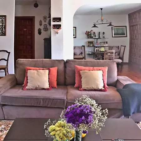 Beachfront Oasis In Costa Del Sol. Holiday home Caleta De Velez